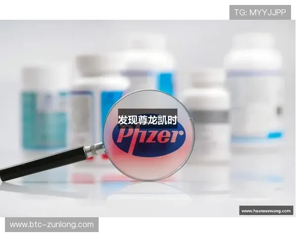 尊龙凯时体育域名维护与优化策略提升网站流量与用户体验